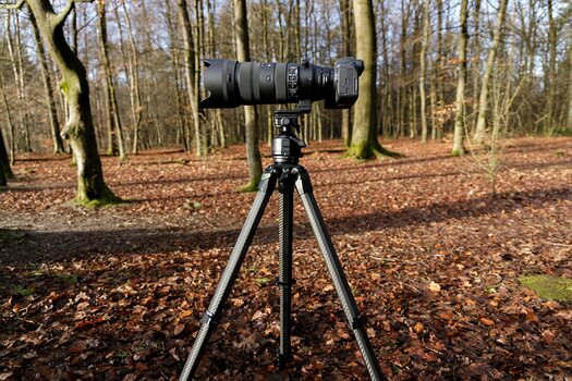 Spiegellose Kamera mit Teleobjektiv auf dem Rollei Lion Rock Pro Instinct Carbon-Stativ in einem herbstlichen Wald. Spiegellose Kamera mit Teleobjektiv auf dem Rollei Lion Rock Pro Instinct Carbon-Stativ in einem herbstlichen Wald.