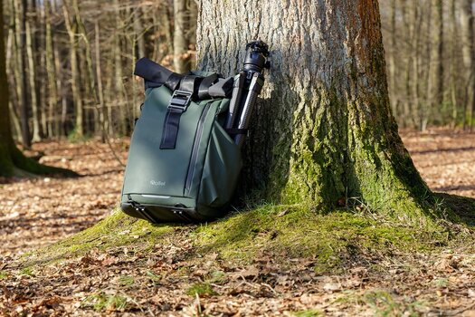 Fotorucksack mit befestigtem Rollei Lion Rock Pro Instinct Carbon-Stativ an einem Baum im Wald. Fotorucksack mit befestigtem Rollei Lion Rock Pro Instinct Carbon-Stativ an einem Baum im Wald.