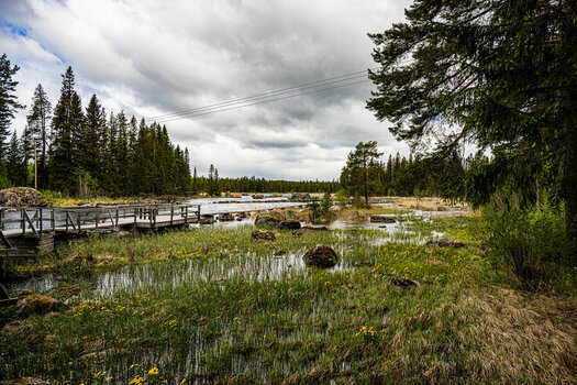 DSC_1667.jpg
