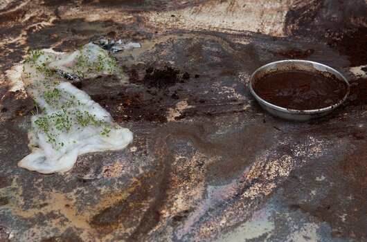 Eine experimentelle Installation von Melike Kara: Auf einer rostfarbenen Oberfläche liegen Kaffeesatz, dunkle Flüssigkeit und kleine grüne Pflanzen, die aus einer hellen organischen Masse wachsen. Eine experimentelle Installation von Melike Kara: Auf einer rostfarbenen Oberfläche liegen Kaffeesatz, dunkle Flüssigkeit und kleine grüne Pflanzen, die aus einer hellen organischen Masse wachsen.