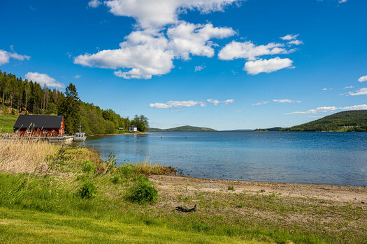 DSC_1668-2.jpg