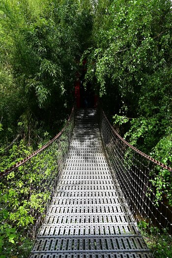 DSC_8209_k.jpg