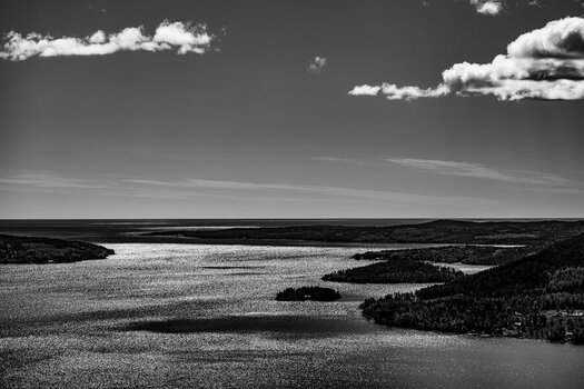 DSC_1939-2.jpg