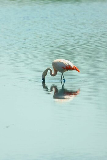 DSC_7709-2.jpg