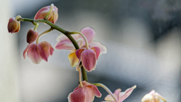 DSC_0541_DxO1_DxO1.jpg