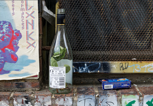 DSC_1712-DxO_DeepPRIME XD2s_DxO.jpg