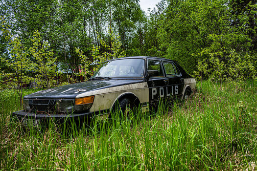DSC_1996-6.jpg