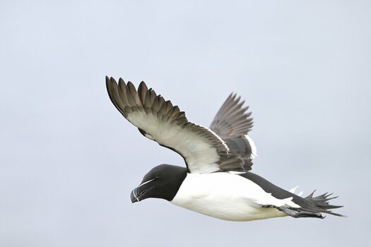 DSC_1101_3.JPG