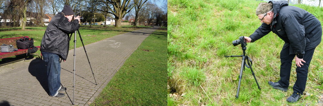 Zweigeteiltes Praxisbild: Links fotografiert ein Mann mit dem Peak Design Stativ auf einem Parkweg, rechts nutzt er es voll ausgezogen für Makroaufnahmen am Grashang.