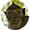 baghras