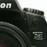 wflorian