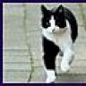 Lothar2