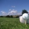 croid