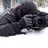 polarstar