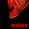 redsea