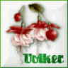 FuchsienVolker