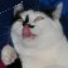 Katzenschinder