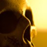 skull73