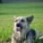 Zoey0905
