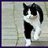 Lothar2