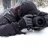 polarstar
