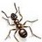 -Ant-