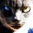 danielwillinger08
