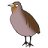 partridge