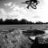 fred100bmx
