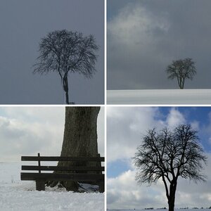 Winter o8/o9