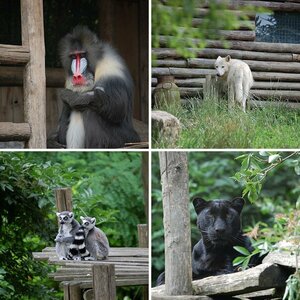 Zoo Amneville