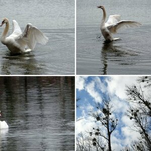 Baggersee_Leo_20090214