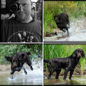 Meine Bilder...