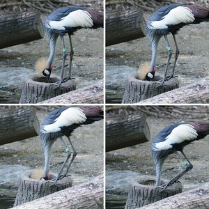 Zoo