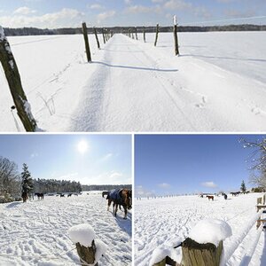 Bilder Nikkor 14-24