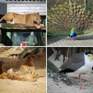 ZOO DUISBURG