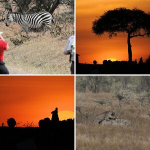 Kenia 2008