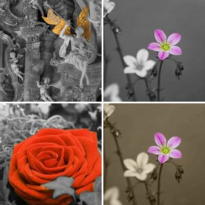 Blumen