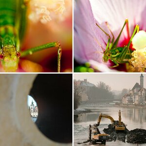 sonstige Fotos