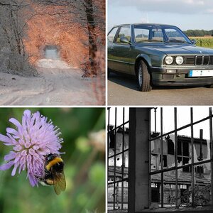 Meine Bilder