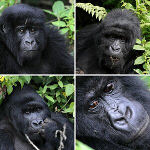 Ruanda 2008