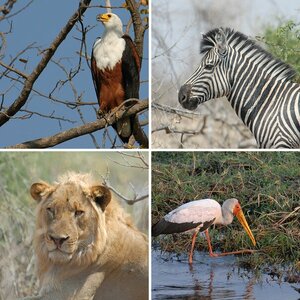 Botswana