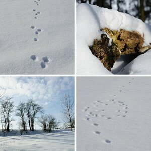 Winter Impressionen