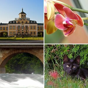 meine Bilder