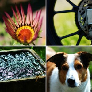 Meine Fotos