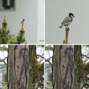 Vergleichsbilder