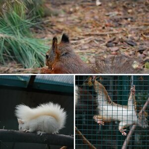 Tierfotografie