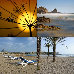 Javea