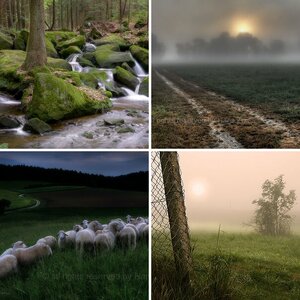 Natur- und Landschaft