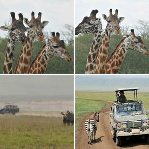Tanzania 2008